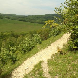 České středohoří