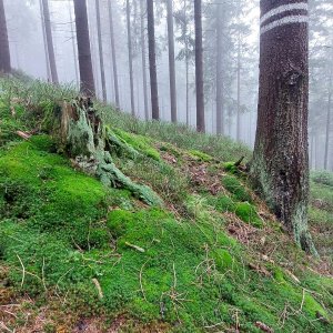 Skřítek  - Ostrý vrch 