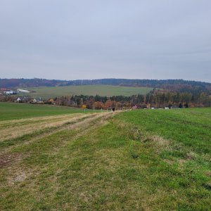 Hlubočky