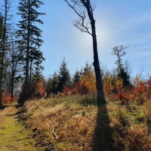 Moravskoslezské Beskydy