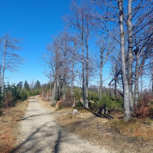 Slezské Beskydy