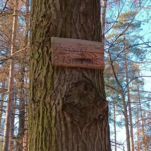Zdeňkův kopec (273 m n.m.)