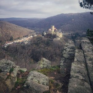 Hardegg