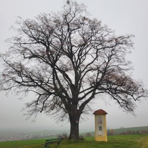 Hradčovice - Uh. Brod