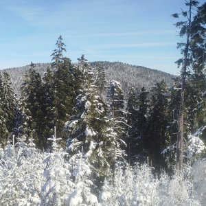 Šumava - Výstup na Boubín