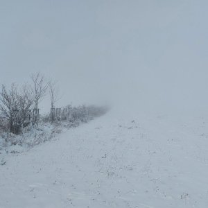 Stránský vrch V
