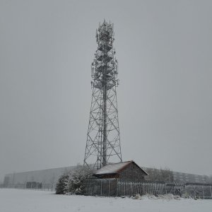 Teleček