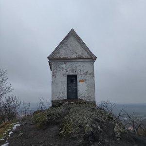 Zebín