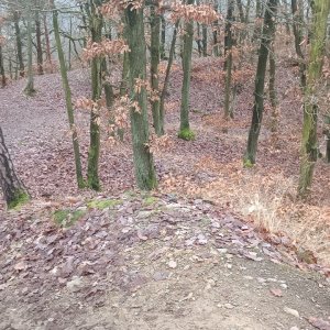 Hřebeny