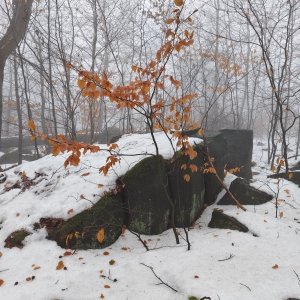 Češka - Vlčí hora - Hadí skála