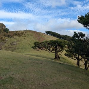 Madeira