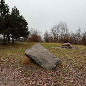 Středolabská tabule