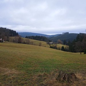 Visalaje