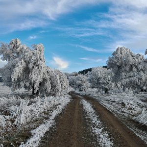 Výlet 17. 12. 2025