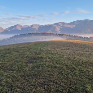 Podhrbie, Rúbane a Borie