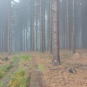 Svitavská pahorkatina