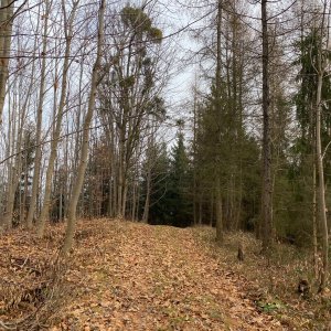 Rožnovská brázda