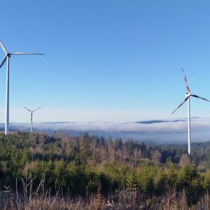 Šumava - Výstup na Hvězdnou a Sternstein