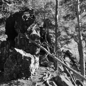 Křivoklátská vrchovina