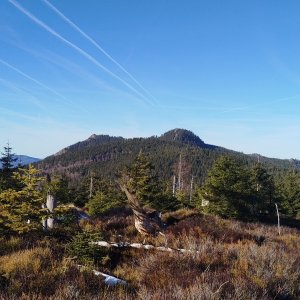 Šumava - Výstup na Velký Ostrý a Svaroh