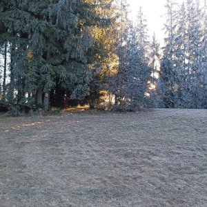 Vysoká nad Kysucou - Makov