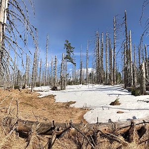 Tetřev-Čertův-Černá