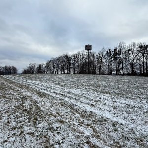 Podbeskydská pahorkatina