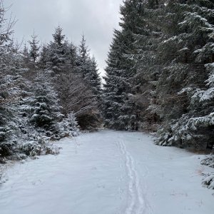 Moravskoslezské Beskydy