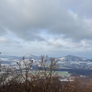 Lunch Walk