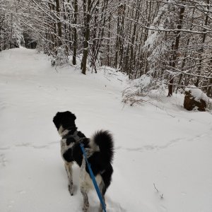 Moravskoslezské Beskydy