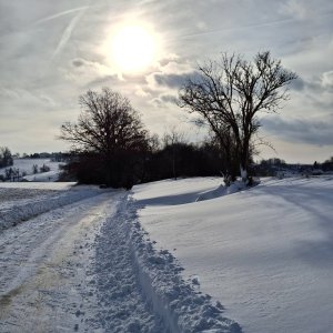 Popice Petrovice Jihlava 1.1. 22km