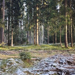 Rotava - Kraslice