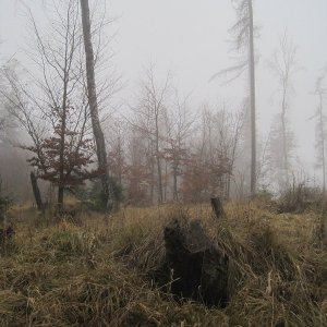 NJ: Kančí vrch + Smrčiny