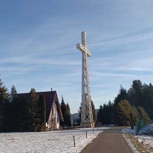 2026-01-05 Paproć, Świerczek, Witów, Okrągła