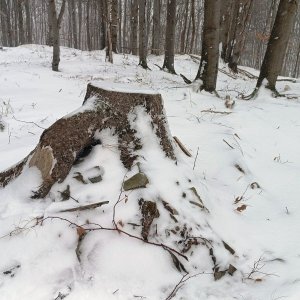 Karlovice - Mořské oko