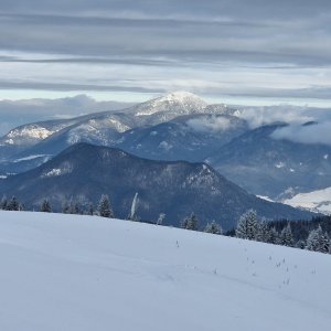 Smrekovica, Málinô