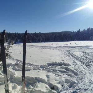 Šumava - běžkařský okruh Pláně-Zhůří-Horská Kvilda-Pláně
