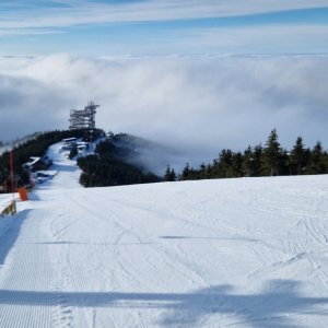 Morning Alpine Ski