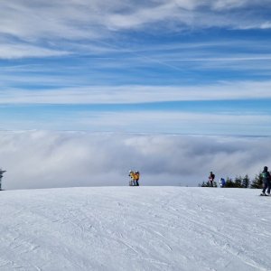 Afternoon Alpine Ski