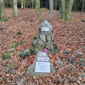 Švihovská vrchovina