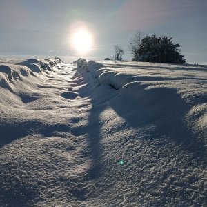 Kalinov
