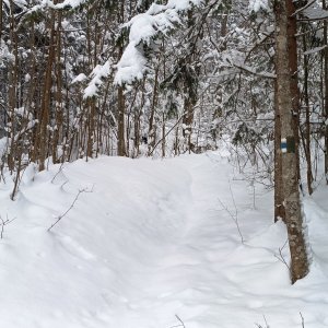 Terchová
