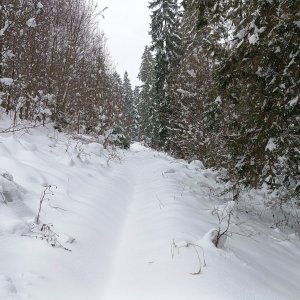 Radôstka