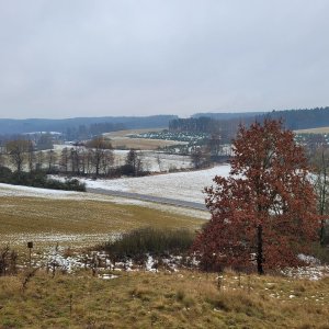 Chotíkov - Bolevec