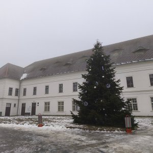 Zastávka u Brna - Rosice
