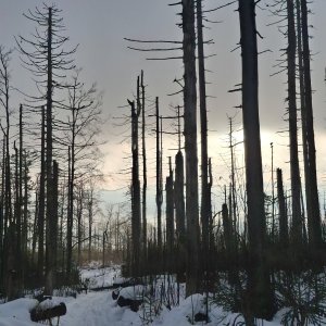 Moravskoslezské Beskydy