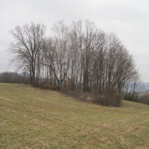 Hovězí - Ústí  2