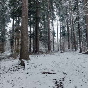 kopce u Frenštátu 