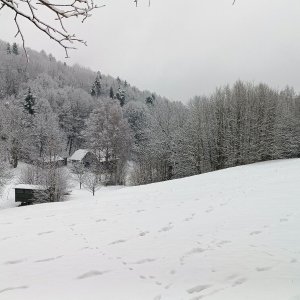 Pískovna