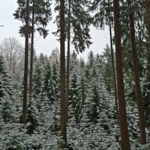 Pod Křemešníkem 12 km